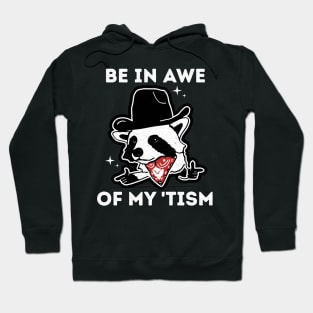 Be In Awe Of My 'Tism Hoodie